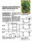 Research paper thumbnail of Grape pruning methods can affect Botrytis bunch rot