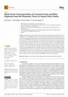 Research paper thumbnail of Multi-Scale Characterization of Unusual Green and Blue Pigments from the Pharaonic Town of Amara West, Nubia