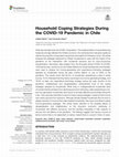 Research paper thumbnail of Household Coping Strategies During the COVID-19 Pandemic in Chile