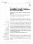 Research paper thumbnail of Diversity of Extremely Halophilic Archaeal and Bacterial Communities from Commercial Salts