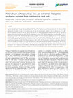 Research paper thumbnail of Halorubrum aethiopicum sp. nov., an extremely halophilic archaeon isolated from commercial rock salt