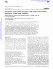 Research paper thumbnail of Hexanuclear copper–nickel and copper–cobalt complexes for thin film deposition of ceramic oxide composites