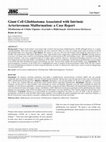 Research paper thumbnail of Giant Cell Glioblastoma Associated with Intrinsic Arteriovenous Malformation