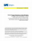 Research paper thumbnail of Farmer Groups Enterprises and the Marketing of Staple Food Commodities in Africa