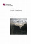 Research paper thumbnail of FLOOD 1. Final Report