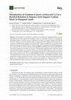 Research paper thumbnail of Introduction of Cardoon (Cynara cardunculus L.) in a Rainfed Rotation to Improve Soil Organic Carbon Stock in Marginal Lands