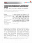 Research paper thumbnail of Pseudomonas aeruginosa rhamnolipid induces fibrillation of human α-synuclein and modulates its effect on biofilm formation