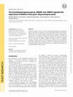 Research paper thumbnail of The transdehydrogenase genes KlNDE1 and KlNDI1 regulate the expression of KlGUT2 in the yeast Kluyveromyces lactis