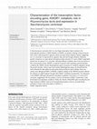 Research paper thumbnail of Characterization of the transcription factor encoding gene, KlADR1: metabolic role in Kluyveromyces lactis and expression in Saccharomyces cerevisiae