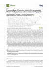 Research paper thumbnail of Common Bean (Phaseolus vulgaris L.) Accumulates Most S-Methylcysteine as Its γ-Glutamyl Dipeptide