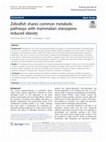 Research paper thumbnail of Zebrafish shares common metabolic pathways with mammalian olanzapine-induced obesity