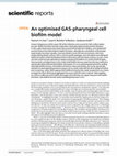 Research paper thumbnail of An Optimised GAS-pharyngeal cell biofilm model