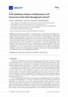 Research paper thumbnail of FAK Inhibition Induces Glioblastoma Cell Senescence-Like State through p62 and p27