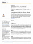 Research paper thumbnail of Assessment of BCG and inactivated Mycobacterium bovis vaccines in an experimental tuberculosis infection model in sheep