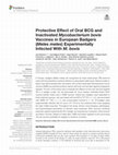 Research paper thumbnail of Protective Effect of Oral BCG and Inactivated Mycobacterium bovis Vaccines in European Badgers (Meles meles) Experimentally Infected With M. bovis