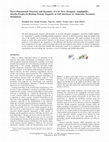 Research paper thumbnail of Three-Dimensional Structure and Dynamics of a de Novo Designed, Amphiphilic, Metallo-Porphyrin-Binding Protein Maquette at Soft Interfaces by Molecular Dynamics Simulations