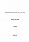 Research paper thumbnail of Castillo_Modernist and Post-modern Perspectives on Rural-Urban Migration_Comparison Zambia and Peru