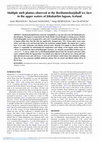 Research paper thumbnail of Multiple melt plumes observed at the Breiðamerkurjökull ice face in the upper waters of Jökulsárlón lagoon, Iceland