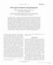 Research paper thumbnail of DNA repair mechanisms and gametogenesis