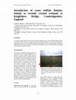 Research paper thumbnail of Introduction of water buffalo Bubalus bubalis to recently created wetlands at Kingfishers Bridge, Cambridgeshire, England