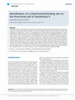 Research paper thumbnail of Identification of a Mitochondrial-Binding Site on the Amino-Terminal End of Hexokinase II