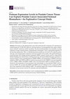 Research paper thumbnail of Protease Expression Levels in Prostate Cancer Tissue Can Explain Prostate Cancer-Associated Seminal Biomarkers-An Explorative Concept Study