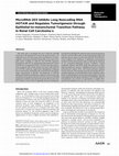 Research paper thumbnail of MicroRNA-203 Inhibits Long Noncoding RNA HOTAIR and Regulates Tumorigenesis through Epithelial-to-mesenchymal Transition Pathway in Renal Cell Carcinoma