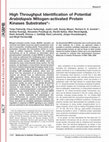 Research paper thumbnail of High Throughput Identification of Potential Arabidopsis Mitogen-activated Protein