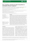 Research paper thumbnail of Gene regulatory networks for lignin biosynthesis in switchgrass (Panicum virgatum)