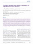 Research paper thumbnail of The flow of the gibbon LAVA element is facilitated by the LINE-1 retrotransposition machinery