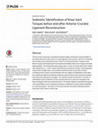 Research paper thumbnail of Isokinetic Identification of Knee Joint Torques before and after Anterior Cruciate Ligament Reconstruction