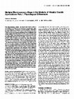 Research paper thumbnail of Multiple electrosensory maps in the medulla of weakly electric gymnotiform fish. II. Anatomical differences