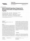 Research paper thumbnail of Ephrin-B/EphB Signaling Is Required for Normal Innervation of Lingual Gustatory Papillae