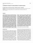 Research paper thumbnail of Localization of myosin II A and B isoforms in cultured neurons