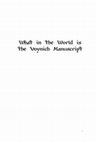 Research paper thumbnail of What in the World is the Voynich Manuscript?