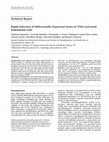 Research paper thumbnail of Rapid selection of differentially expressed genes in TNF[alpha]-activated endothelial cells