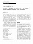 Research paper thumbnail of Distribution of cephalopods recorded in the diet of the Patagonian toothfish (Dissostichus eleginoides) around South Georgia