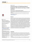 Research paper thumbnail of Characterization of Proliferating Neural Progenitors after Spinal Cord Injury in Adult Zebrafish