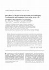 Research paper thumbnail of Intracellular Localization of the Microtubule-Associated Motor Proteins Kinesin and Cytoplasmic Dynein in Rat Sertoli Cells