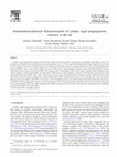 Research paper thumbnail of Immunohistochemical characterization of cardiac vagal preganglionic neurons in the rat