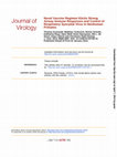 Research paper thumbnail of Novel Vaccine Regimen Elicits Strong Airway Immune Responses and Control of Respiratory Syncytial Virus in Nonhuman Primates