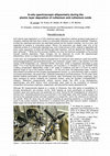 Research paper thumbnail of In-situ spectroscopic ellipsometry during the atomic layer deposition of ruthenium and ruthenium oxide