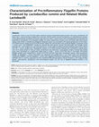 Research paper thumbnail of Characterization of Pro-Inflammatory Flagellin Proteins Produced by Lactobacillus ruminis and Related Motile Lactobacilli