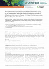 Research paper thumbnail of Bats (Mammalia, Chiroptera) from a bamboo-dominated forest in the southwestern Brazilian Amazon, with the first records of Glyphonycteris sylvestris Thomas, 1896 and Phylloderma stenops Peters, 1865 from Acre state