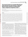 Research paper thumbnail of The Leucine Content of a Complete Meal Directs Peak Activation but Not Duration of Skeletal Muscle Protein Synthesis and Mammalian Target of Rapamycin Signaling in Rats