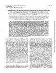 Research paper thumbnail of Identification oftheFunctional Components oftheRasSignaling Pathway Regulating Pituitary Cell-Specific GeneExpression