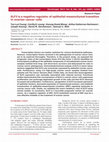 Research paper thumbnail of ELF3 is a negative regulator of epithelial-mesenchymal transition in ovarian cancer cells