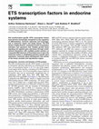 Research paper thumbnail of ETS transcription factors in endocrine systems