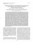 Research paper thumbnail of Epidermal growth factor and Ras regulate gene expression in GH4 pituitary cells by separate, antagonistic signal transduction pathways