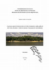 Research paper thumbnail of As gravuras rupestres da bacia do baixo rio Urubu: levantamento e análise gráfica do sítio Caretas, Itacoatiara - Estado do Amazonas. Uma proposta de contextualização